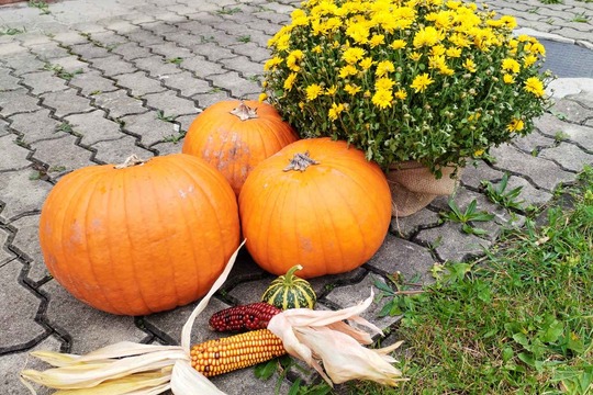 Malý FARMÁŘSKÝ trh a PODZIMNÍ slavnost v PASTELCE 1