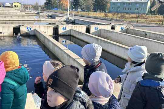 Výlov rybníka Výlov rybníka 1