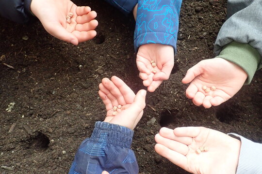 Jarní práce na vyvýšených záhonech  1