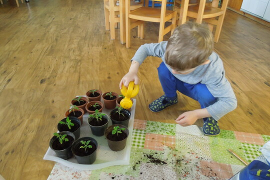 Příprava na jarní pěstování  1