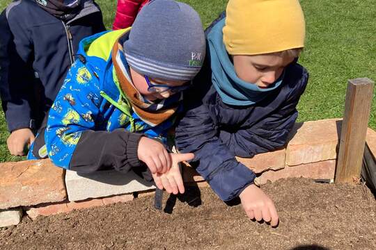 Jak Berušky pěstovaly mrkev Jak Berušky pěstovaly mrkev 1