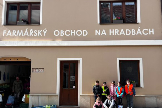 Městská knihovna Louny 1