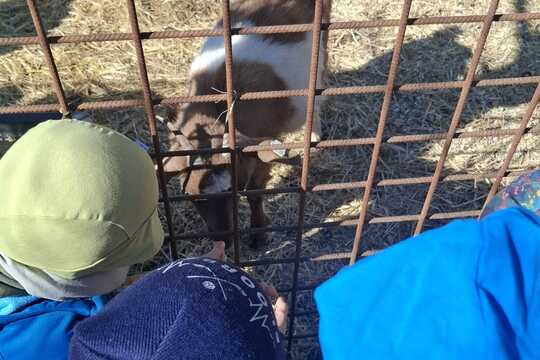 Výlet na Zlatou farmu  1