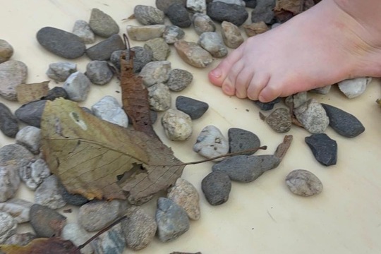 Jsme školka v pohybu Jsme školka v pohybu 1