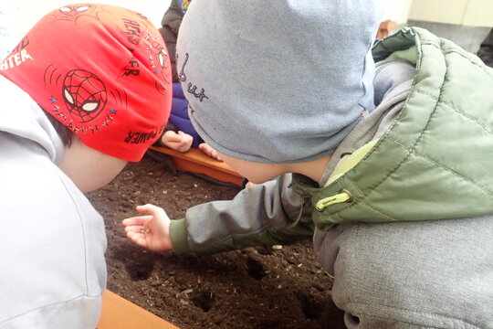 Jarní práce na vyvýšených záhonech  1