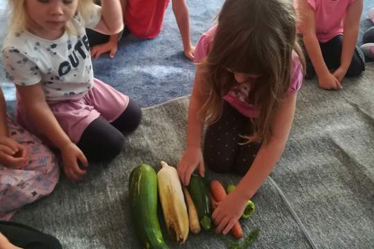Děti z MŠ Mánesova Kroměříž ví, že ovoce a zelenina, to je zdraví, to je síla. 1