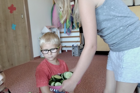 Co nám léto přináší 1