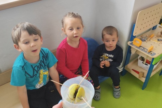 Avo...avo...avokádo 1
