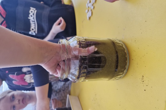 Děti a jejich pokus se semínky fazolí 1