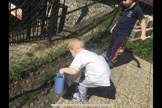 Pěstujeme zeleninu od semínka k plodu 1