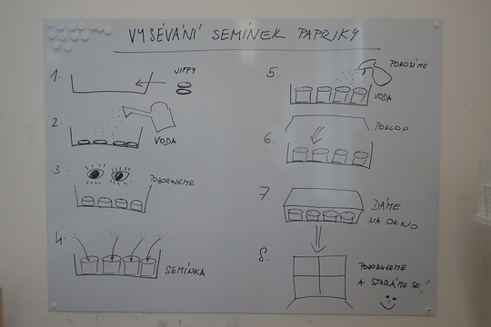 Vysévání semínek 1