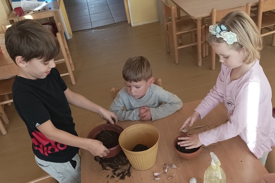 Třídní podzimní zahrádka plná vitamínů 1