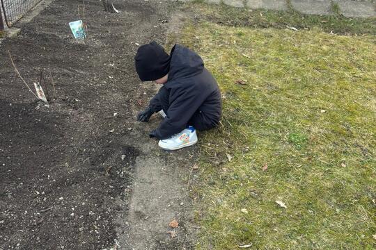 Zahrada se probouzí  1