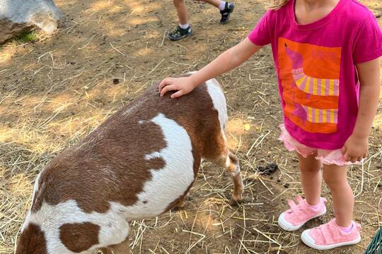 FARMAPARK U TOMA 1