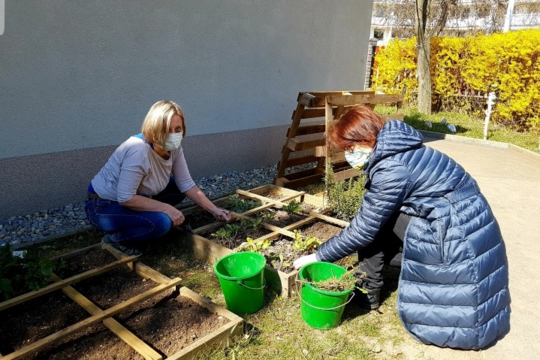 Jarní příprava školní zahrady 1