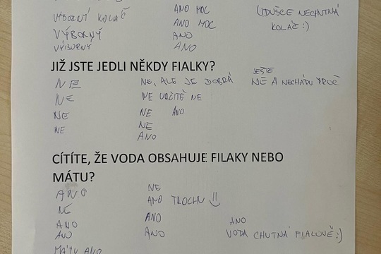 Fialkový koláč  1
