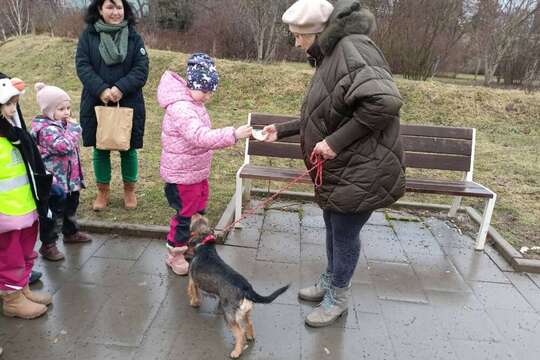 Pátek u medvídků 1