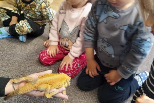 Agamy ve školce 1