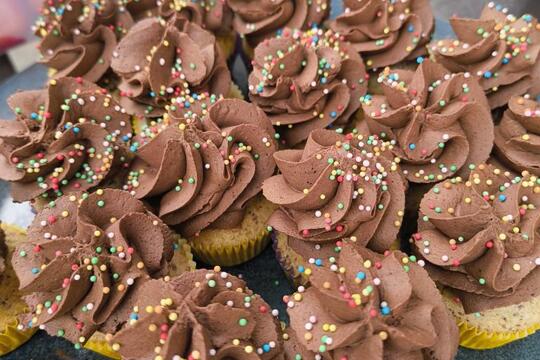 JARO na školní ZAHRÁDCE  1