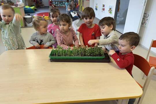 Microgreens u našich nejmenších 1