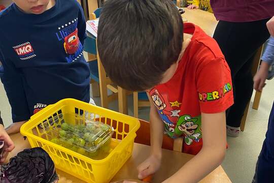 Chlebové pirátské lodě 1