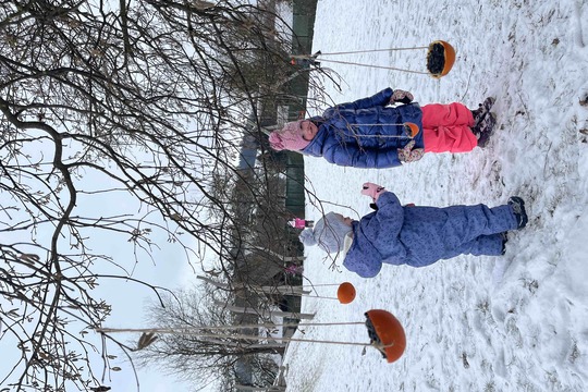 Zimní hodování: Pomerančová krmítka, která zdobí i chutnají 1