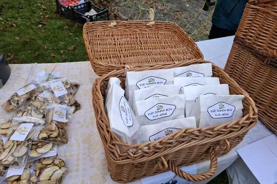 Podzimní svatomartinský jarmark  1