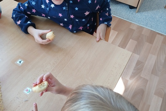 Řepánky 1