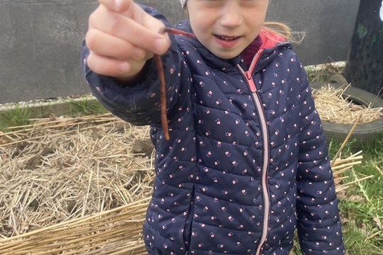 Když kompost ožívá 1