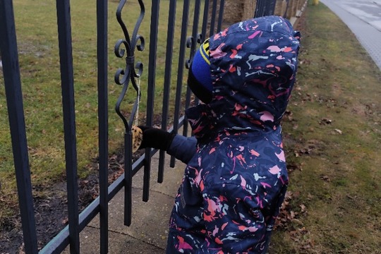 Jablečná krmítka pro ptáčky 1