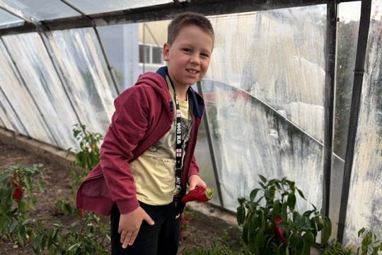 Od semínka až na talíř: Děti z 2.B sklidily úrodu ze školního skleníku Od semínka až na talíř: Děti z 2.B sklidily úrodu ze školního skleníku 1