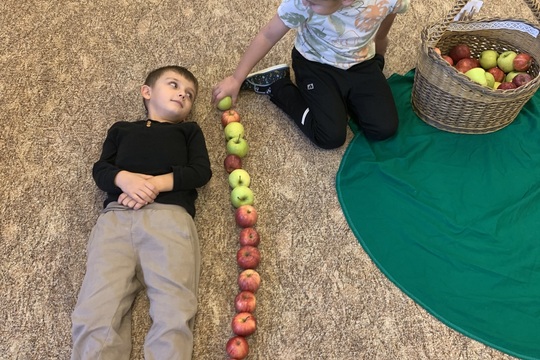 Jablečný projektový týden 1