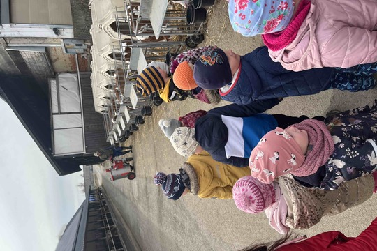 Návštěva telátek v kravíně 1