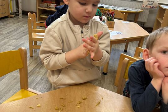 Kytičky z MŠ Kollárova - pečeme cukroví 1