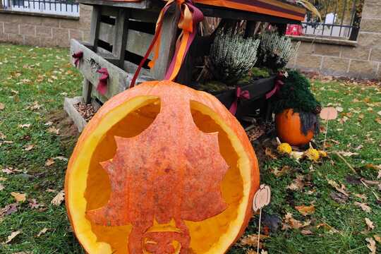 Podzimní slavnost - Jablka a řepa 1