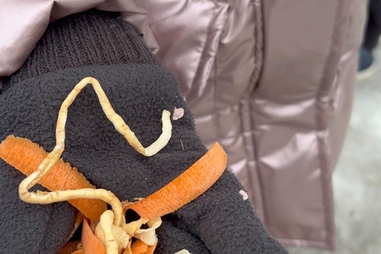 Ptáci v zimě Ptáci v zimě 1