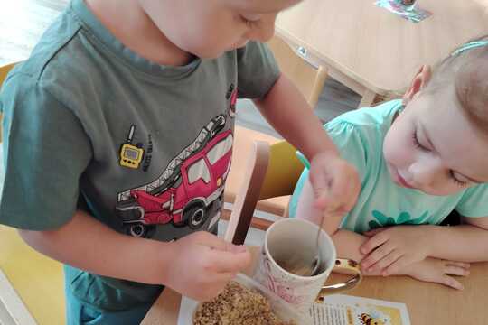Kytičky z MŠ Kollárova - Medové kuličky 1