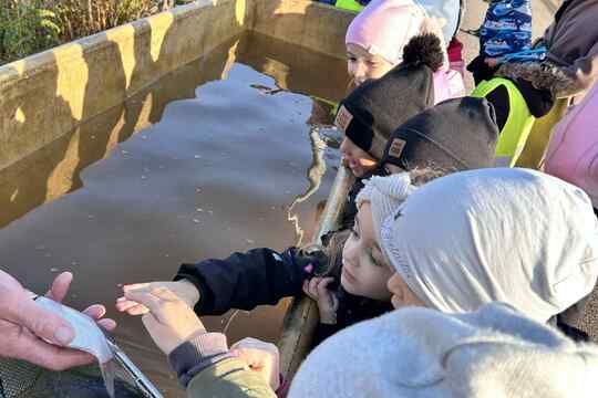 Výlov rybníka Výlov rybníka 1