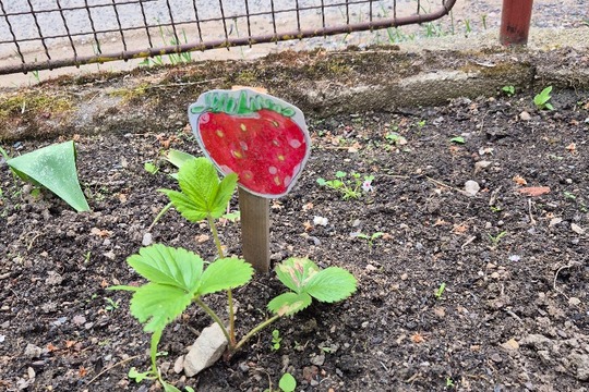 Cesta k jedlé zahradě. Cesta k jedlé zahradě. 1