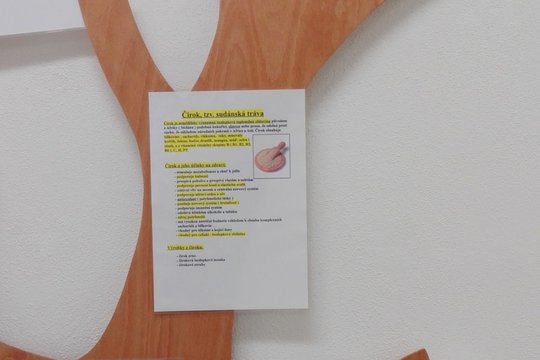 Naše zdravé nástěnky 1
