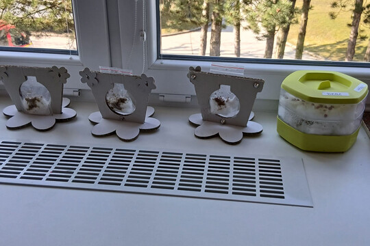 Co je u nás nového? 1