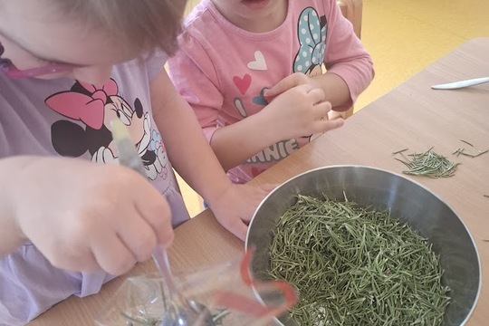 Voňavé přípravy na Jarmark 1