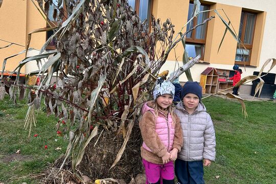 Podzimní slavnost - Jablka a řepa 1