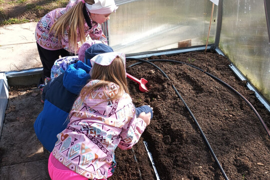 Jak si kdo zasadí, tak si taky sní  1