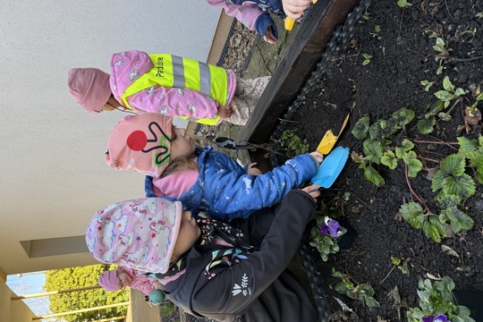 JARNÍ SÁZENÍ NA NAŠÍ ZAHRADĚ 1