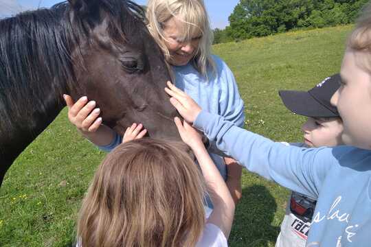 Návštěva farmy "Appaloosa". 1