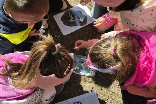 Výlet do pravěku 1