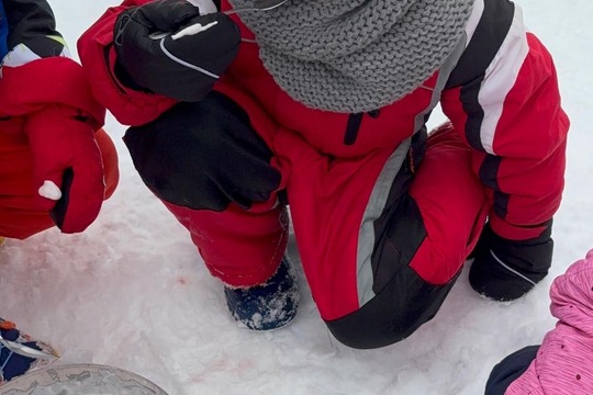 Sníh+ mráz + my = zmrzlina  1