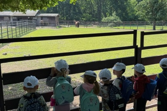 MŠ Sluníčko na výletě - Zoopark Chomutov 1