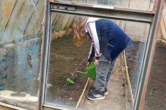 Jarní úklid zahrady 1